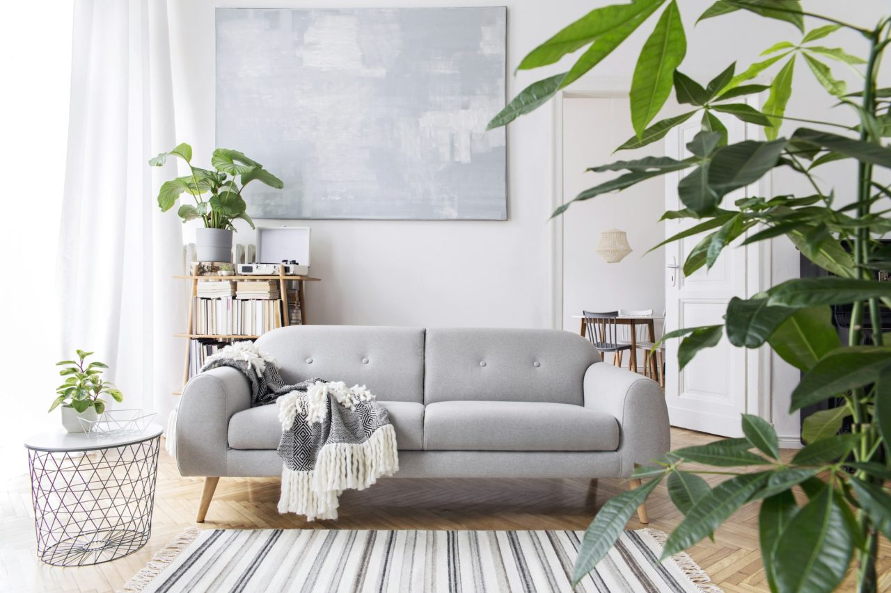 modern scandianvian living room interior with design sofa